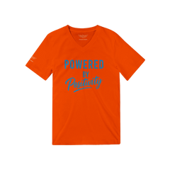 e3bc43a0-346b-436c-8200-1a6382f57d31